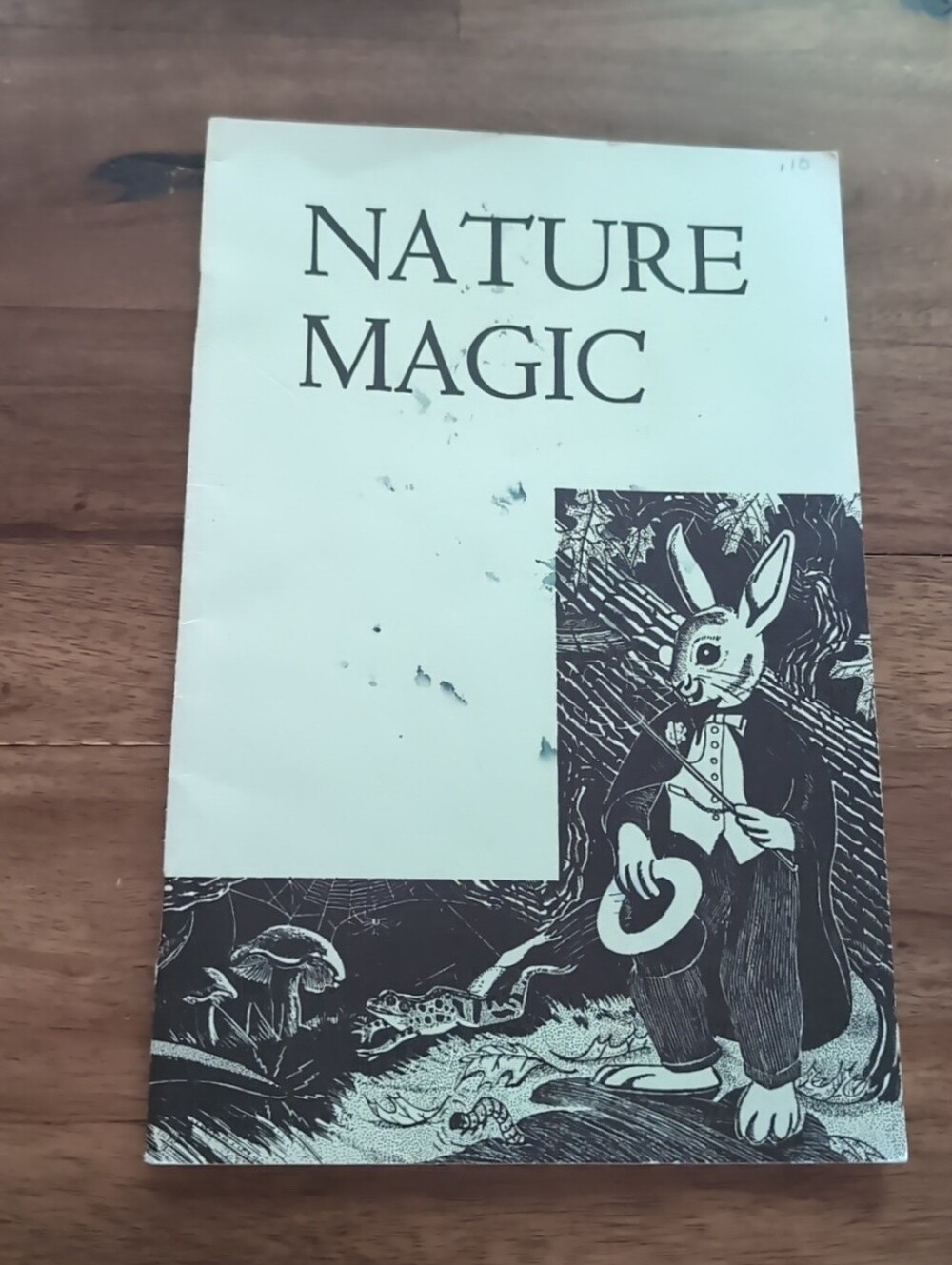 1960 Chicago Natural History Museum Nature Magic Rare